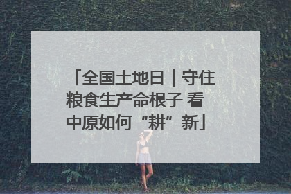 全国土地日｜守住粮食生产命根子 看中原如何“耕”新