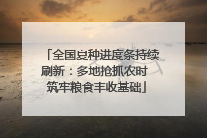 全国夏种进度条持续刷新：多地抢抓农时 筑牢粮食丰收基础