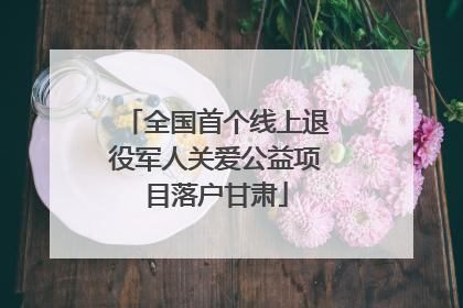 全国首个线上退役军人关爱公益项目落户甘肃