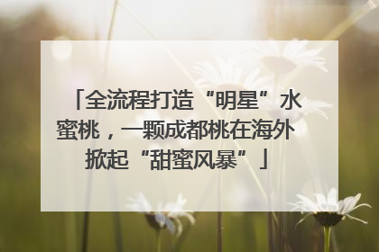 全流程打造“明星”水蜜桃，一颗成都桃在海外掀起“甜蜜风暴”