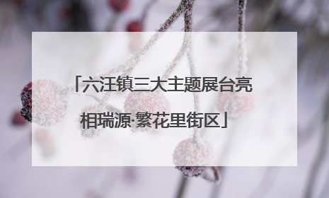 六汪镇三大主题展台亮相瑞源·繁花里街区