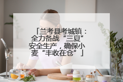 兰考县考城镇：全力备战“三夏”安全生产，确保小麦“丰收在仓”