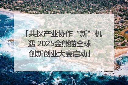共探产业协作“新”机遇 2025金熊猫全球创新创业大赛启动