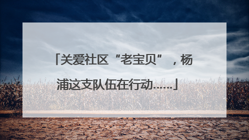 关爱社区“老宝贝”，杨浦这支队伍在行动……
