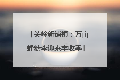 关岭新铺镇：万亩蜂糖李迎来丰收季