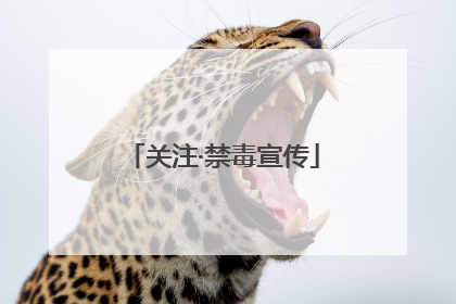 关注·禁毒宣传