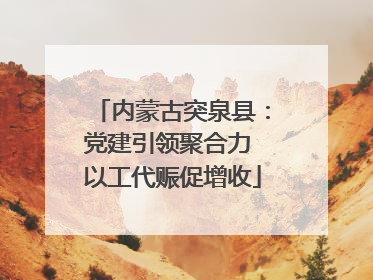 内蒙古突泉县：党建引领聚合力 以工代赈促增收