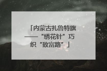 内蒙古扎鲁特旗——“绣花针”巧织“致富路”