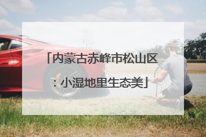内蒙古赤峰市松山区：小湿地里生态美