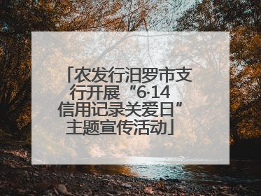 农发行汨罗市支行开展“6·14信用记录关爱日”主题宣传活动