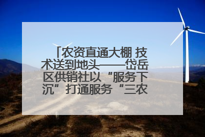 农资直通大棚 技术送到地头——岱岳区供销社以“服务下沉”打通服务“三农”最后一公里
