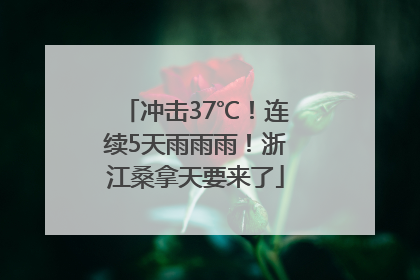 冲击37℃！连续5天雨雨雨！浙江桑拿天要来了