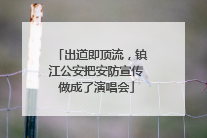出道即顶流，镇江公安把安防宣传做成了演唱会