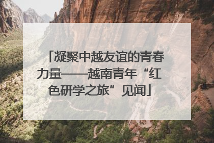 凝聚中越友谊的青春力量——越南青年“红色研学之旅”见闻