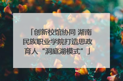 创新校馆协同 湖南民族职业学院打造思政育人“洞庭湖模式”