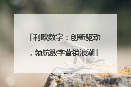 利欧数字：创新驱动，领航数字营销浪潮