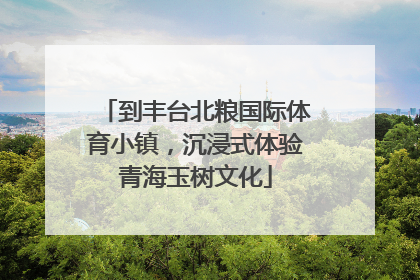 到丰台北粮国际体育小镇，沉浸式体验青海玉树文化