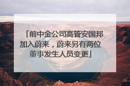 前中金公司高管安国邦加入蔚来，蔚来另有两位董事发生人员变更