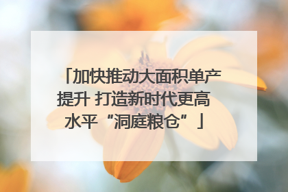 加快推动大面积单产提升 打造新时代更高水平“洞庭粮仓”