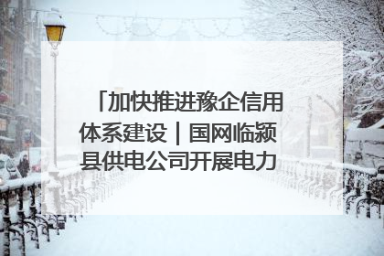 加快推进豫企信用体系建设｜国网临颍县供电公司开展电力行业信用企业现场咨询访谈工作