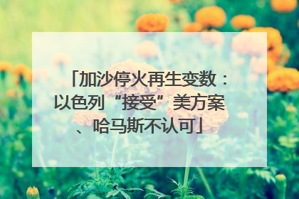 加沙停火再生变数：以色列“接受”美方案、哈马斯不认可