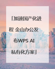 加速国产化进程 金山办公发布WPS AI私有化方案