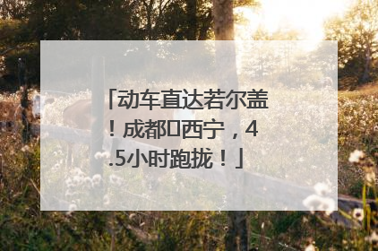 动车直达若尔盖！成都⇄西宁，4.5小时跑拢！