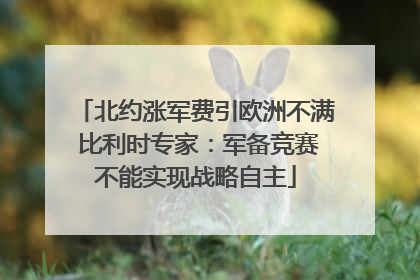 北约涨军费引欧洲不满 比利时专家：军备竞赛不能实现战略自主