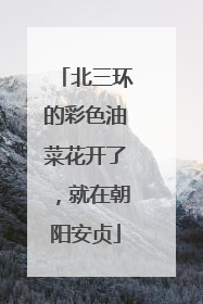 北三环的彩色油菜花开了，就在朝阳安贞
