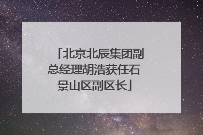北京北辰集团副总经理胡浩获任石景山区副区长