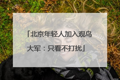 北京年轻人加入观鸟大军：只看不打扰