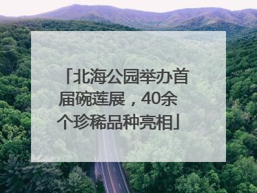 北海公园举办首届碗莲展，40余个珍稀品种亮相