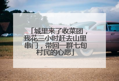 城里来了收菜团，我花三小时赶去山里串门，带回一群七旬村民的心愿