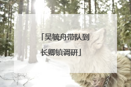 吴毓舟带队到长卿镇调研