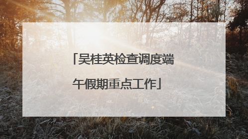 吴桂英检查调度端午假期重点工作