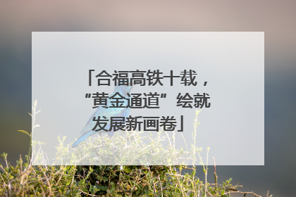 合福高铁十载，“黄金通道”绘就发展新画卷