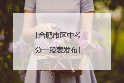 合肥市区中考一分一段表发布