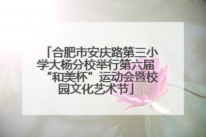 合肥市安庆路第三小学大杨分校举行第六届“和美杯”运动会暨校园文化艺术节