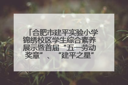 合肥市建平实验小学锦绣校区学生综合素养展示暨首届“五一劳动奖章”、“建平之星”颁奖典礼圆满举办