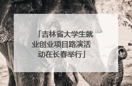 吉林省大学生就业创业项目路演活动在长春举行