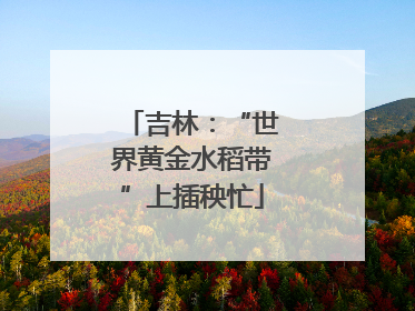 吉林：“世界黄金水稻带”上插秧忙