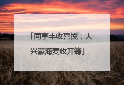 同享丰收喜悦，大兴瀛海麦收开镰