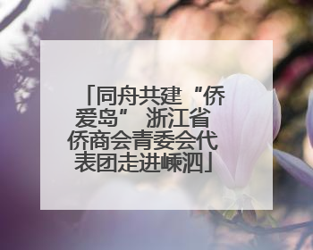 同舟共建“侨爱岛” 浙江省侨商会青委会代表团走进嵊泗