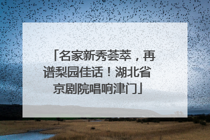 名家新秀荟萃，再谱梨园佳话！湖北省京剧院唱响津门