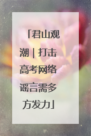君山观潮｜打击高考网络谣言需多方发力