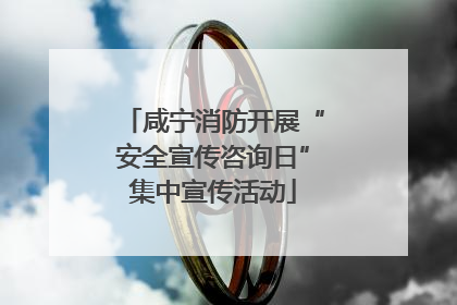 咸宁消防开展“安全宣传咨询日”集中宣传活动