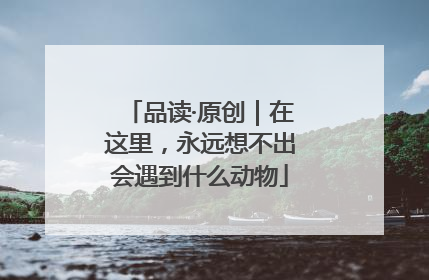 品读·原创｜在这里，永远想不出会遇到什么动物