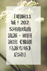 唱响11城！2025河南戏曲流派・巡回演出《豫剧马派专场》启动