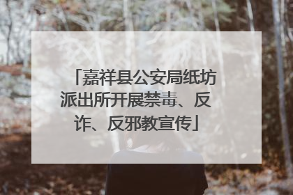 嘉祥县公安局纸坊派出所开展禁毒、反诈、反邪教宣传