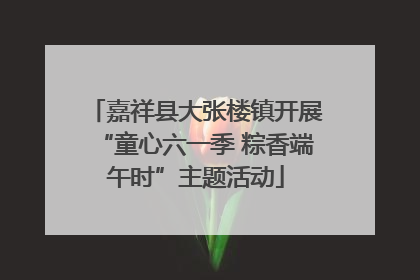 嘉祥县大张楼镇开展“童心六一季 粽香端午时”主题活动